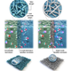 A visualization of how the new membrane (left) allows less salt to pass than simpler membranes (right).